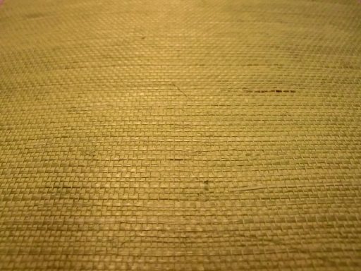 Sisal Wandbelag / Tapete 