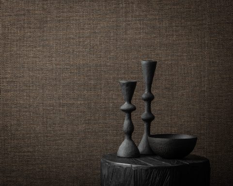 Tribu 6