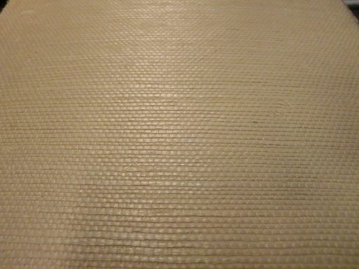 Sisal Wandbelag / Tapete 
