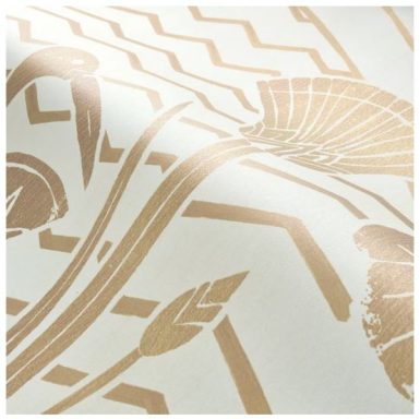 Casamance ÉLÉPHANTINE 1